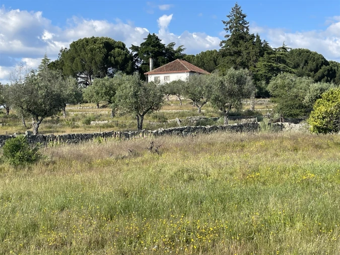 Quinta T10 para Venda em Castelo Branco Foto 71