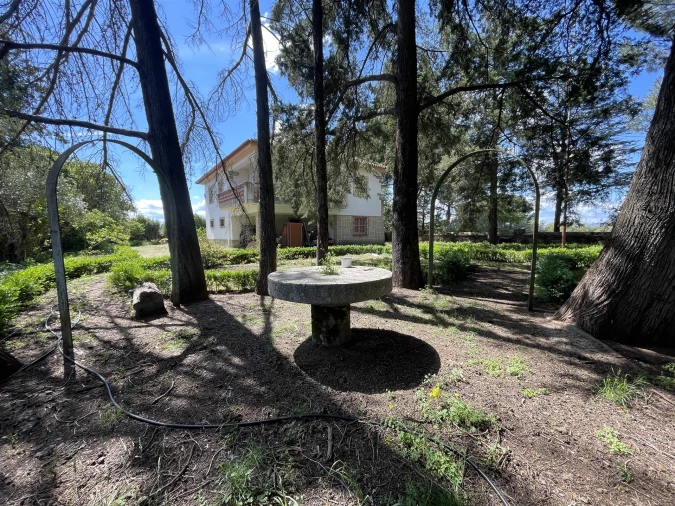 Quinta T10 para Venda em Castelo Branco Foto 10