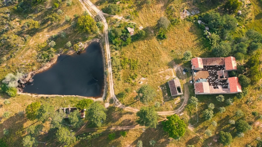 Quinta T10 para Venda em Castelo Branco Foto 7