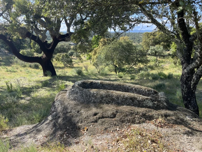 Quinta T10 para Venda em Castelo Branco Foto 52