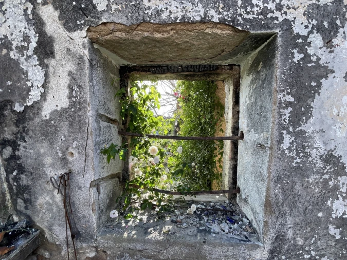 Quinta T10 para Venda em Castelo Branco Foto 58