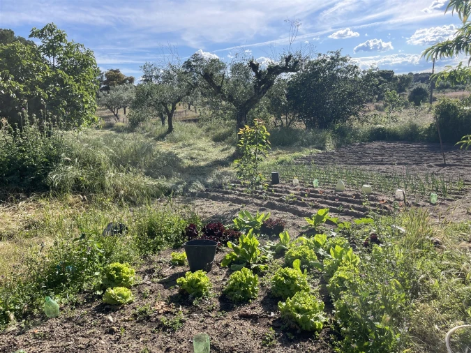 Quinta T10 para Venda em Castelo Branco Foto 63