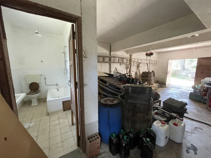 Quinta T10 para Venda em Castelo Branco Foto 12