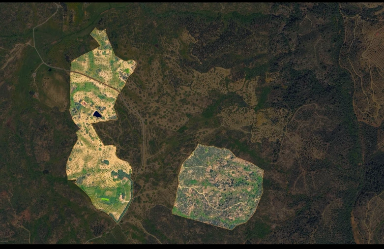 Quinta T10 para Venda em Castelo Branco Foto 72