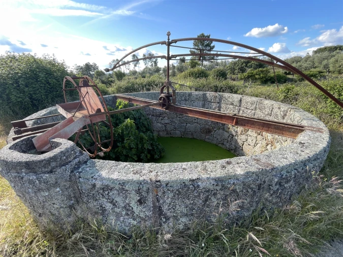 Quinta T10 para Venda em Castelo Branco Foto 70