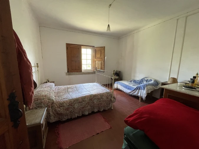 Quinta T10 para Venda em Castelo Branco Foto 20