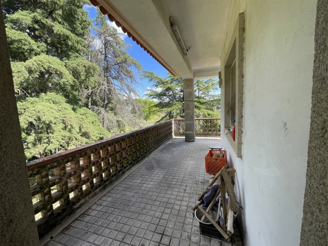 Quinta T10 para Venda em Castelo Branco Foto 25