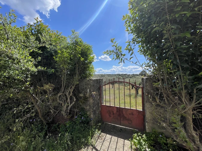 Quinta T10 para Venda em Castelo Branco Foto 32