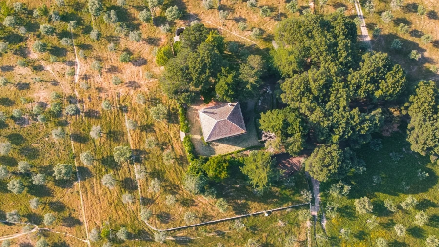 Quinta T10 para Venda em Castelo Branco Foto 4