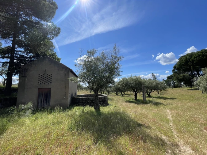 Quinta T10 para Venda em Castelo Branco Foto 35