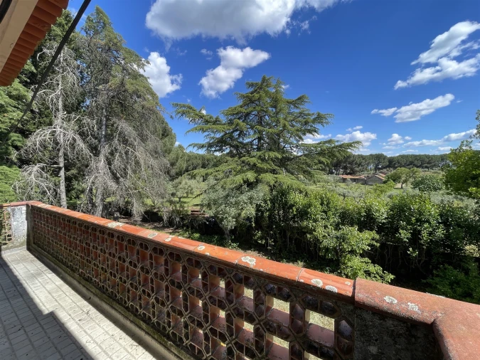 Quinta T10 para Venda em Castelo Branco Foto 26