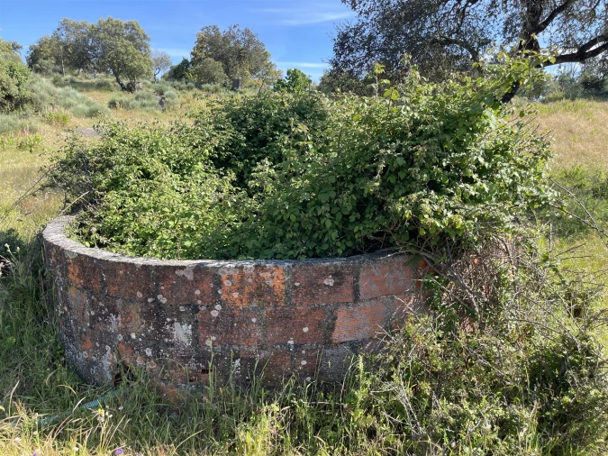 Quinta T10 para Venda em Castelo Branco Foto 46