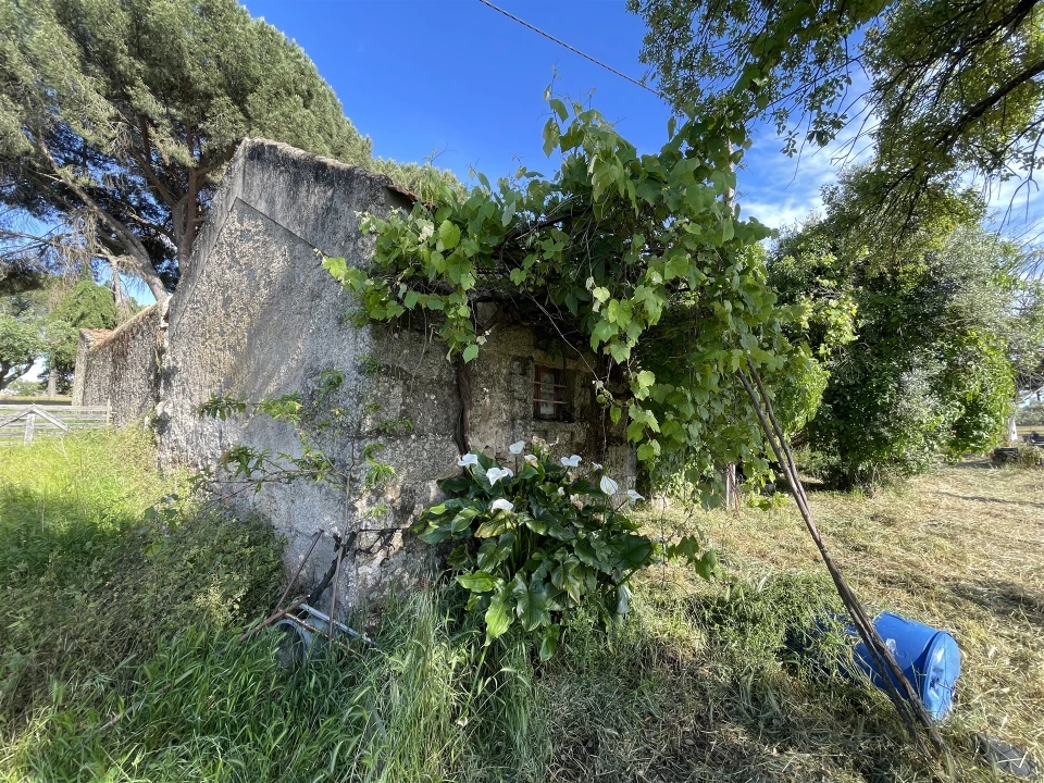 Quinta T10 para Venda em Castelo Branco Foto 59