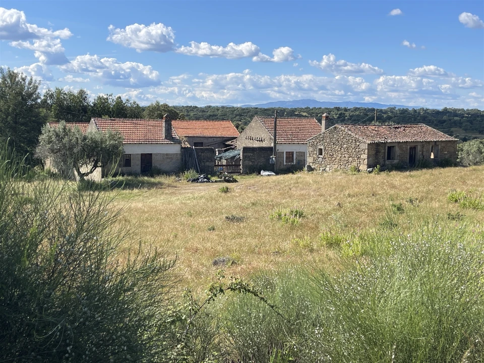 Quinta T10 para Venda em Castelo Branco Foto 38