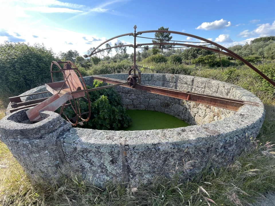 Quinta T10 para Venda em Castelo Branco Foto 70