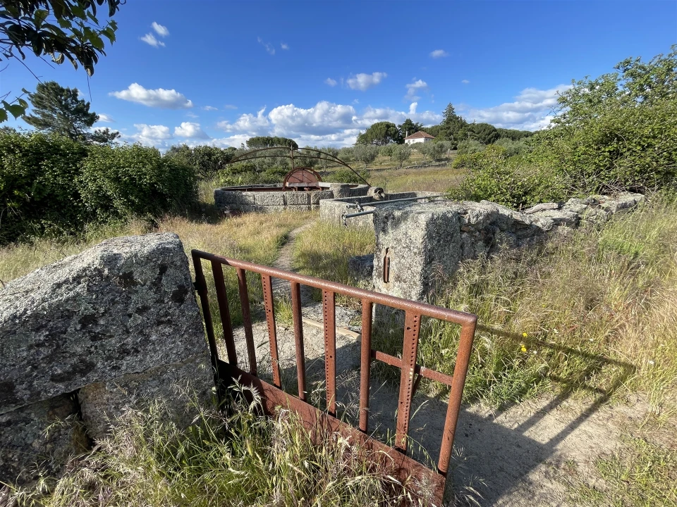 Quinta T10 para Venda em Castelo Branco Foto 67