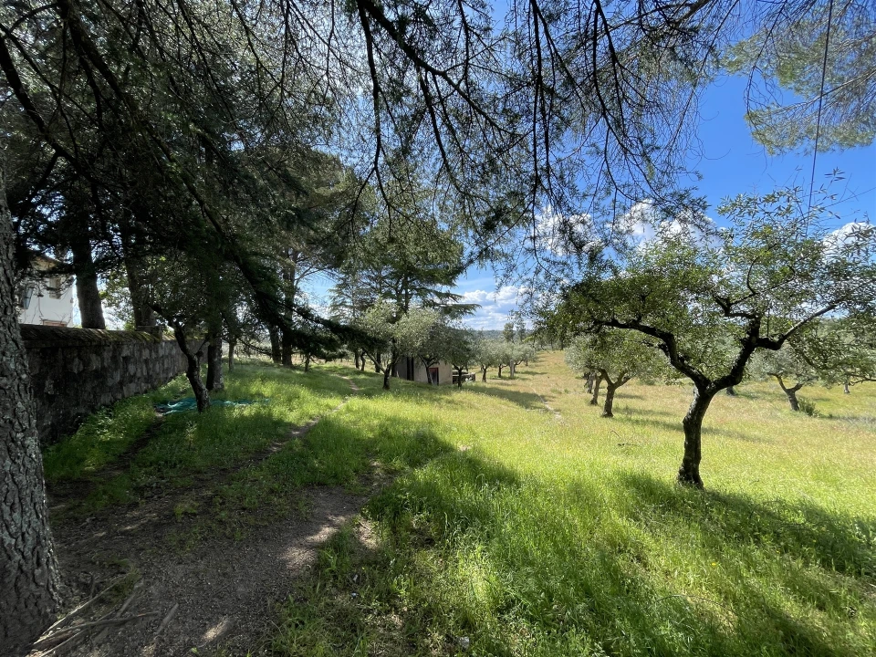 Quinta T10 para Venda em Castelo Branco Foto 34