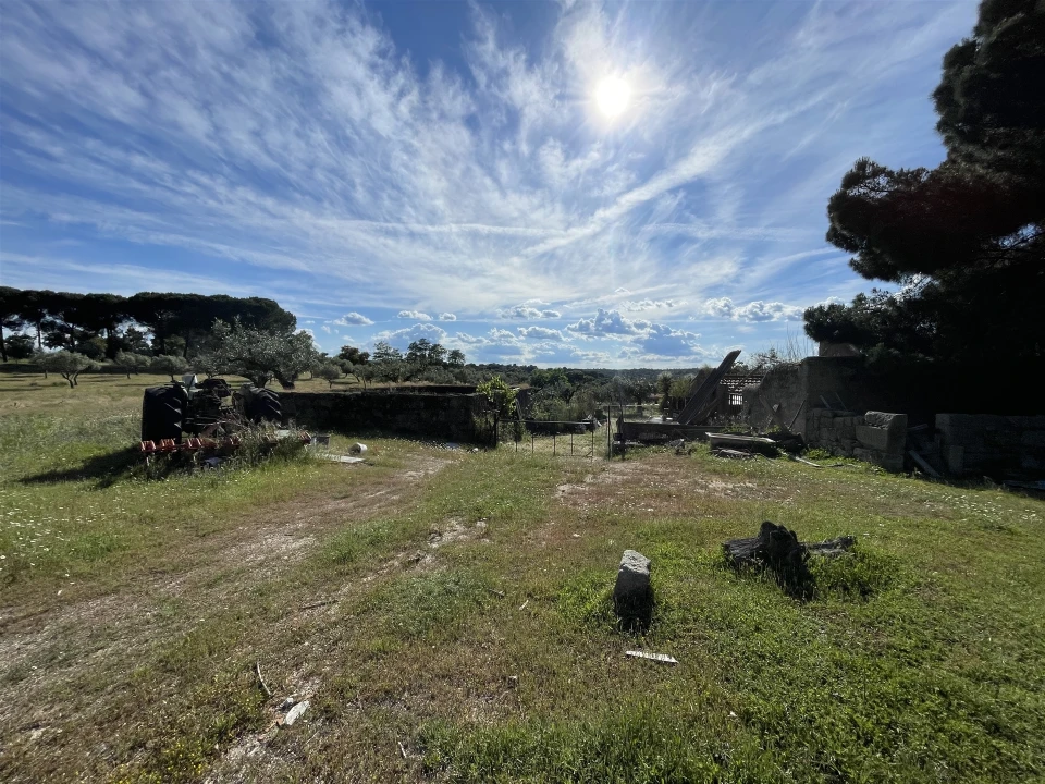 Quinta T10 para Venda em Castelo Branco Foto 53