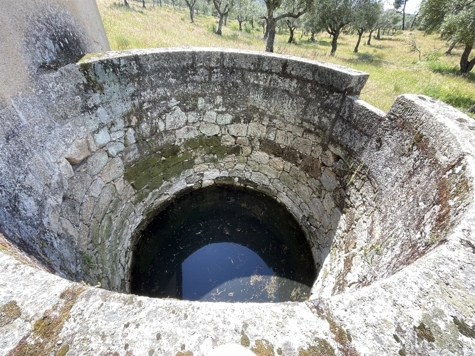 Quinta T10 para Venda em Castelo Branco Foto 36