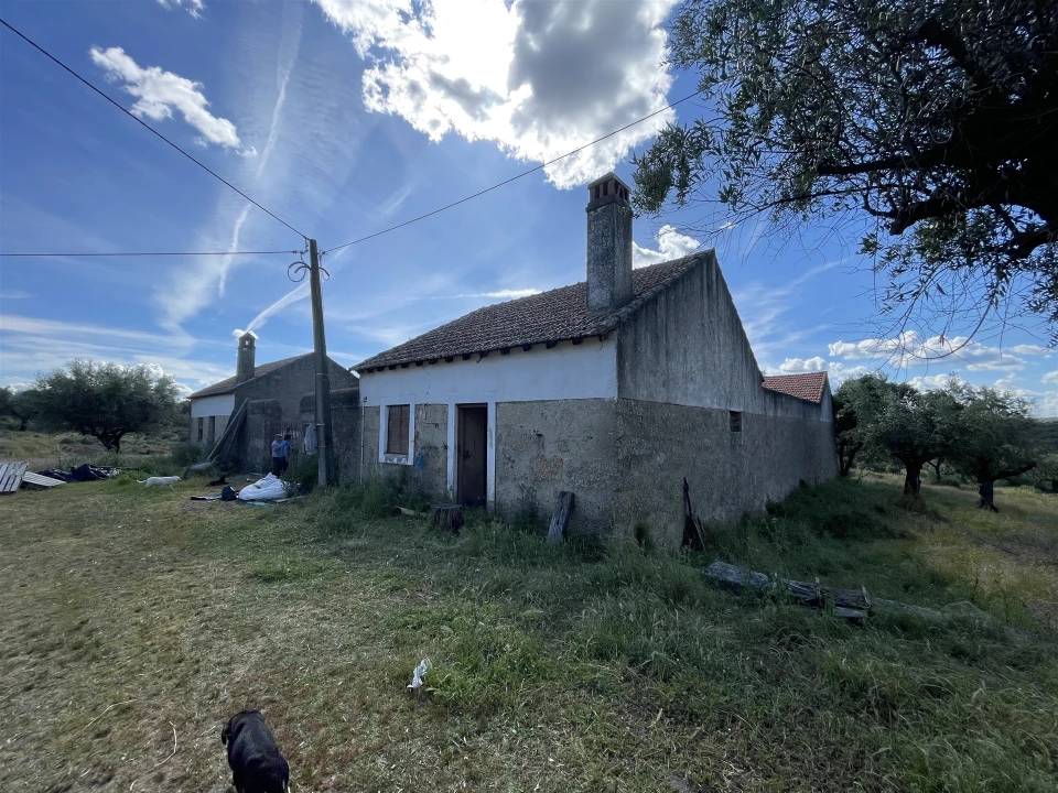 Quinta T10 para Venda em Castelo Branco Foto 40