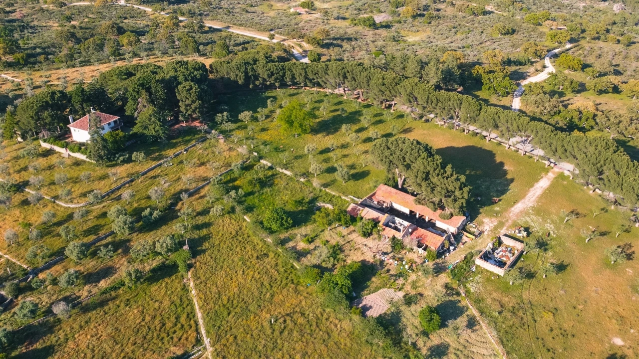 Quinta T10 para Venda em Castelo Branco Foto 3