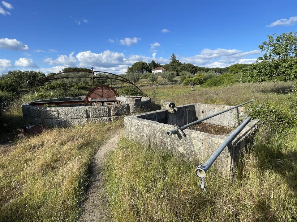 Quinta T10 para Venda em Castelo Branco Foto 68