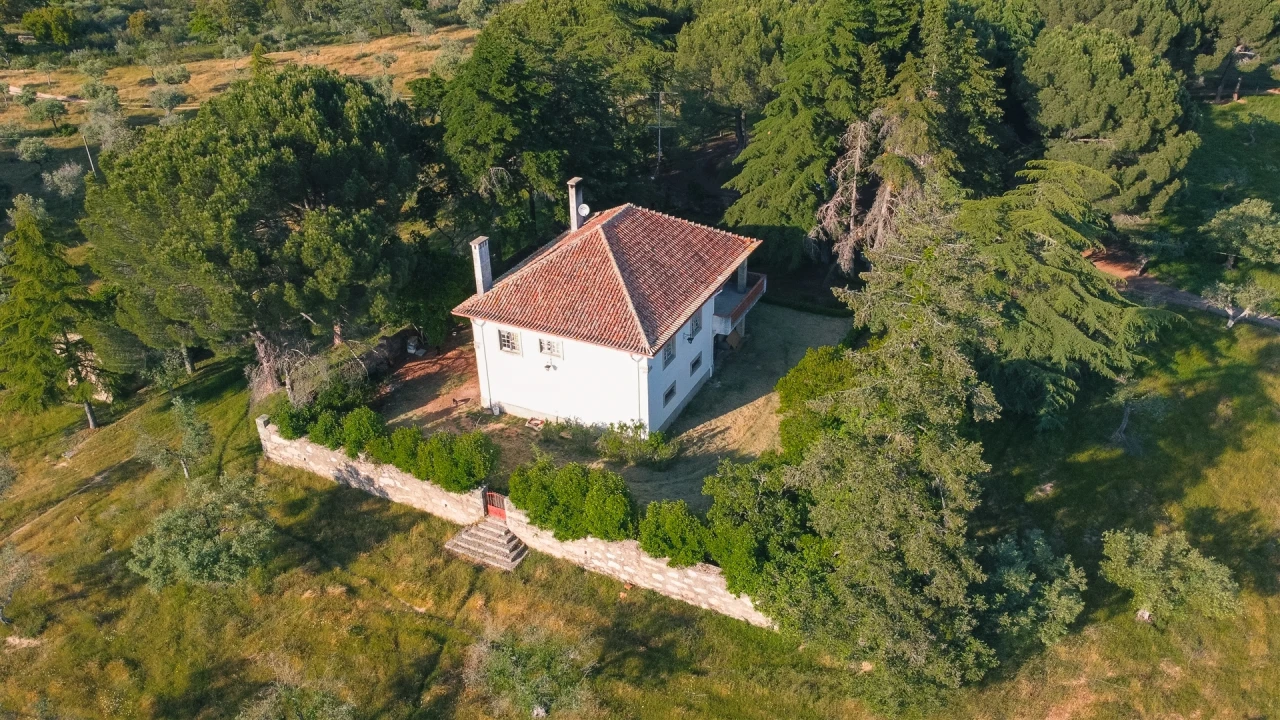 Quinta T10 para Venda em Castelo Branco Foto 5