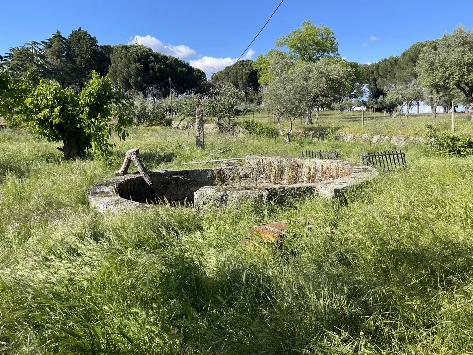 Quinta T10 para Venda em Castelo Branco Foto 60