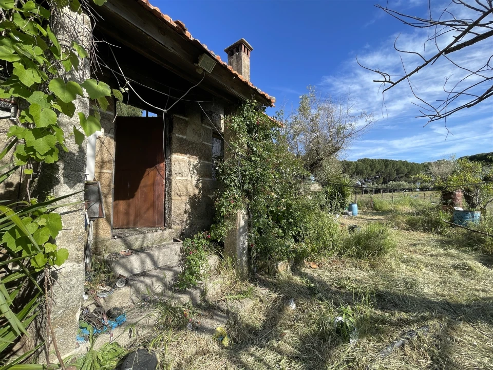 Quinta T10 para Venda em Castelo Branco Foto 62