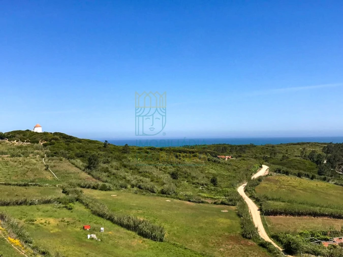 Moradia T2 para Venda em Tornada e Salir do Porto Foto 25