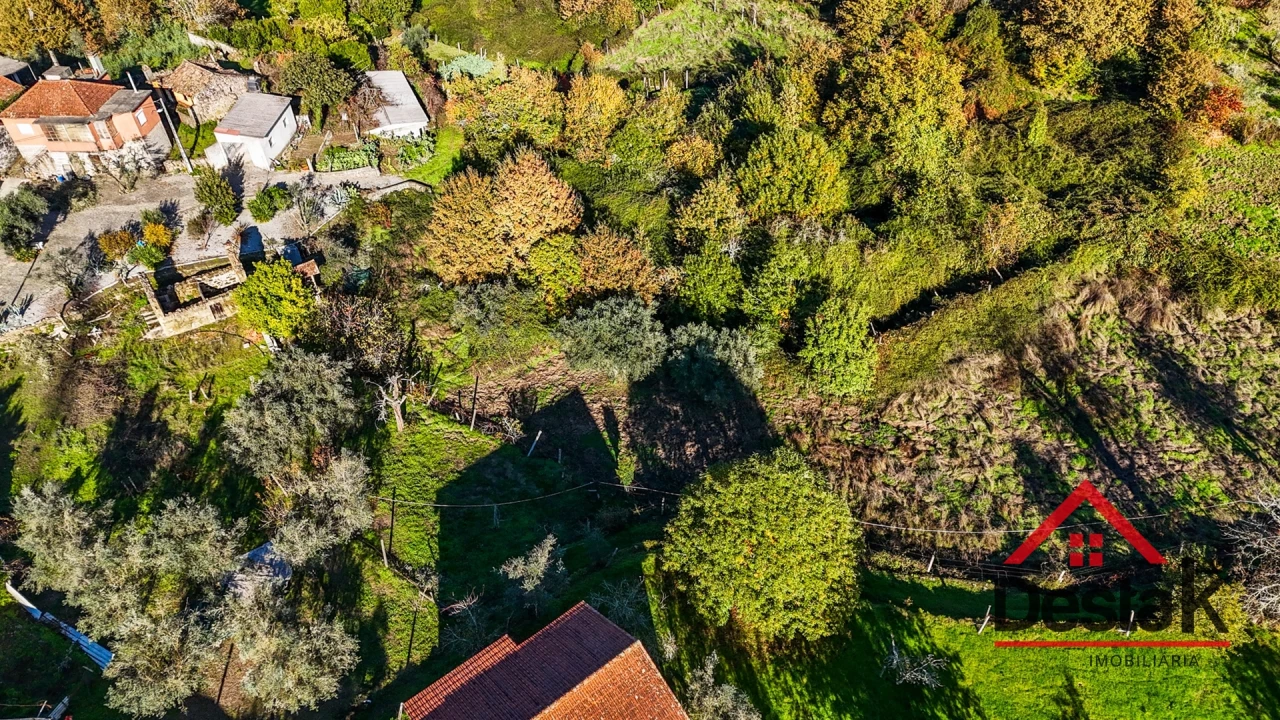 Quinta T0 para Venda em Fataunços e Figueiredo das Donas Foto 8