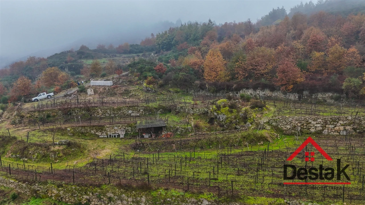Terreno Agricola ou Rústico para Venda em Silgueiros Foto 10