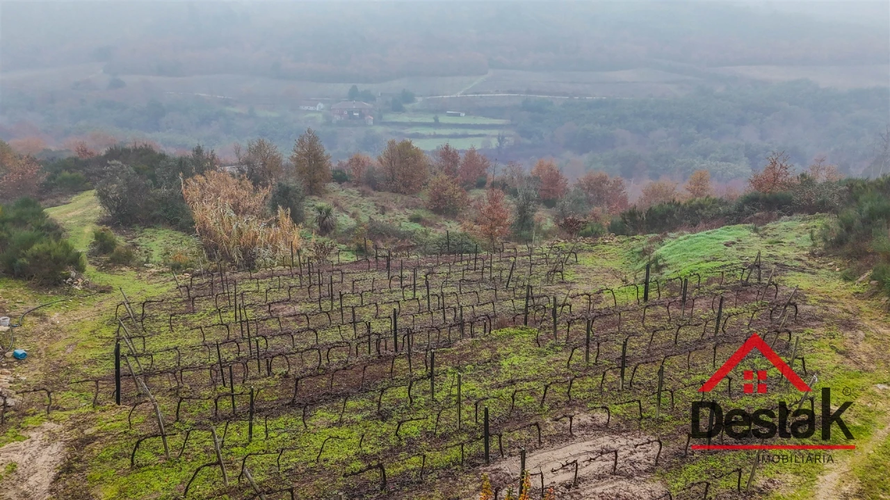 Terreno Agricola ou Rústico para Venda em Silgueiros Foto 6
