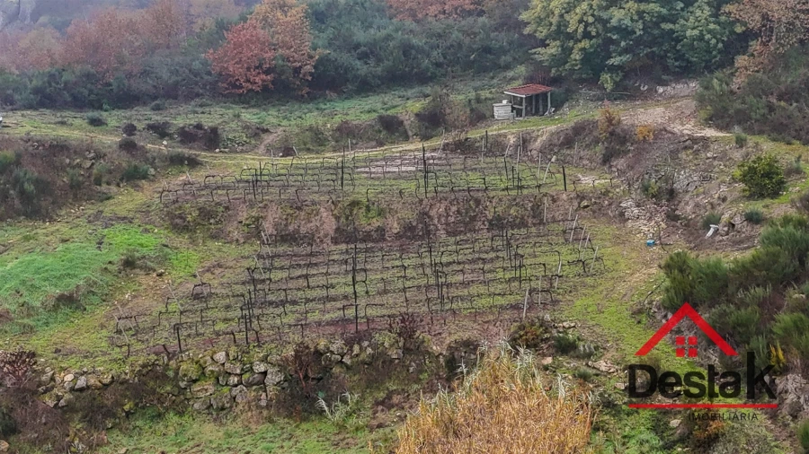 Terreno Agricola ou Rústico para Venda em Silgueiros Foto 2