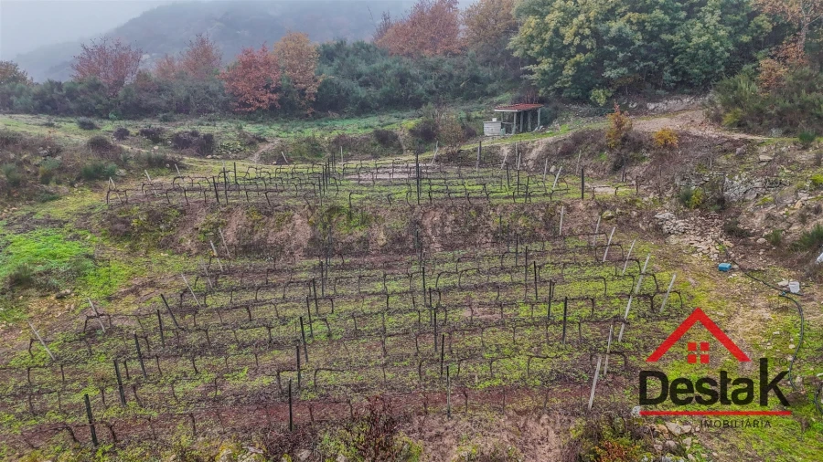 Terreno Agricola ou Rústico para Venda em Silgueiros Foto 5