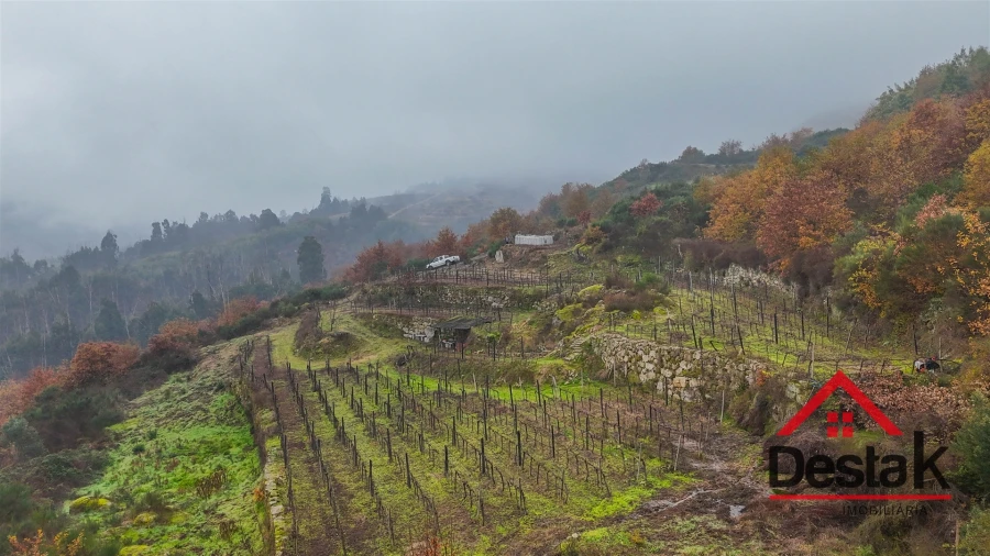 Terreno Agricola ou Rústico para Venda em Silgueiros Foto 9