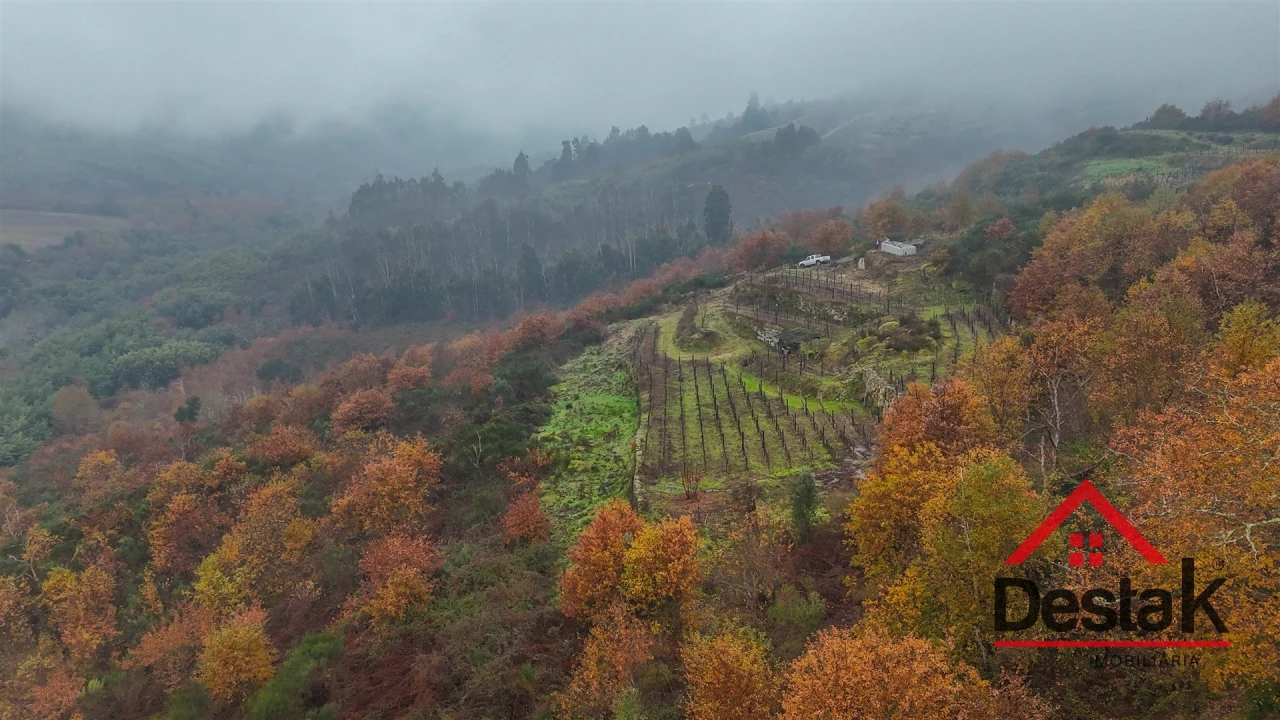 Terreno Agricola ou Rústico para Venda em Silgueiros Foto 8