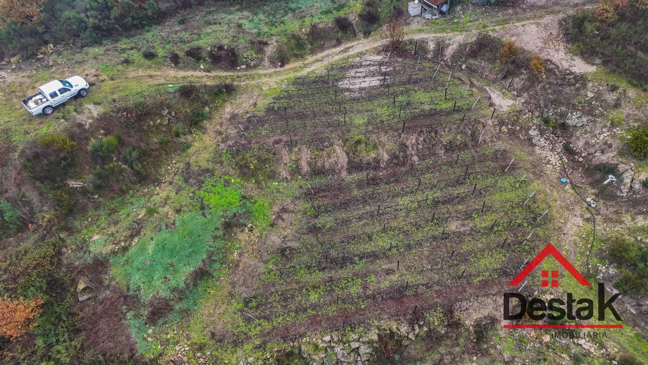 Terreno Agricola ou Rústico para Venda em Silgueiros Foto 3