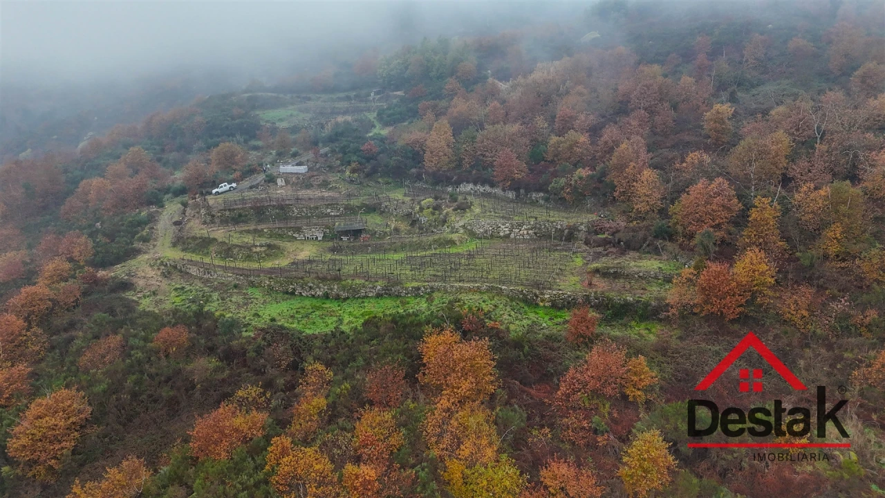 Terreno Agricola ou Rústico para Venda em Silgueiros Foto 1