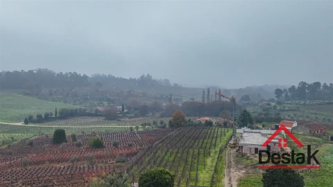 Terreno para Venda em Silgueiros