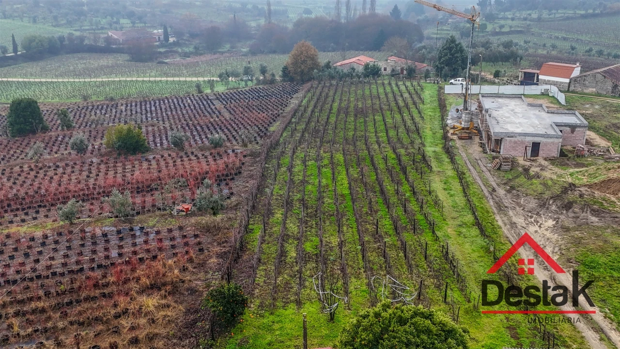 Terreno para Venda em Silgueiros Foto 1