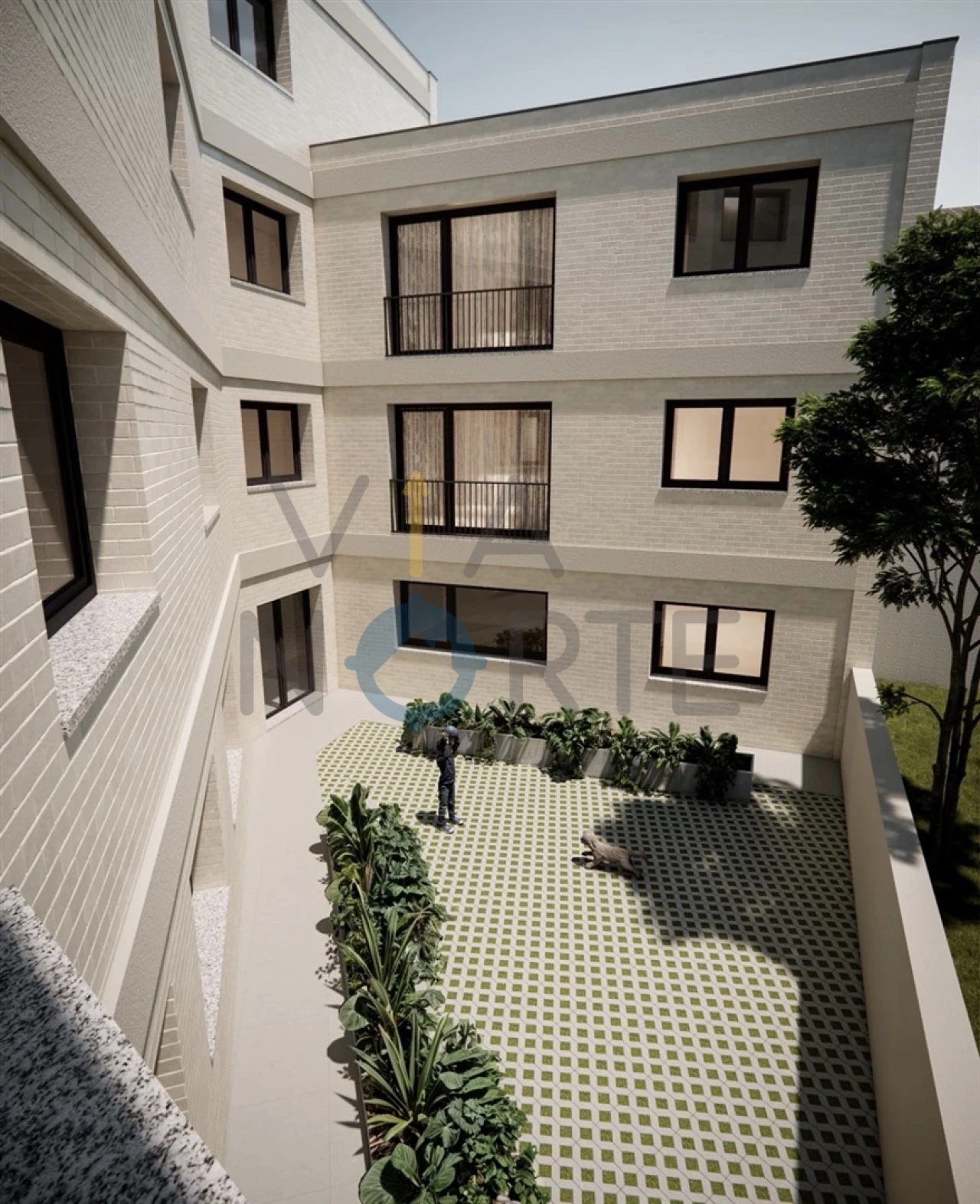 Apartamento T0 para Venda em Sé, Santa Maria e Meixedo Foto 3