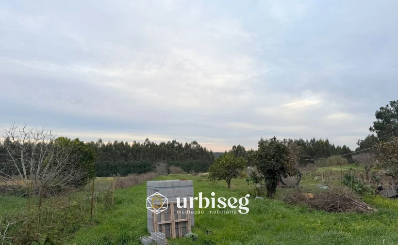 Moradia T3 para Venda em Paião Foto 25