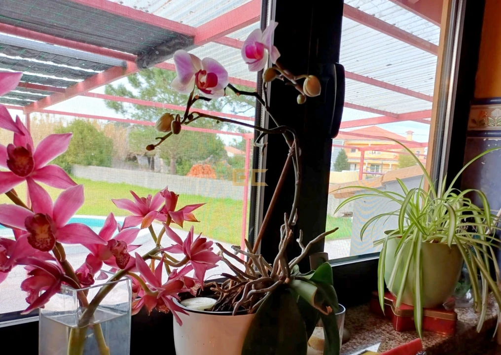 Moradia T3 para Venda em Bom Sucesso Foto 12