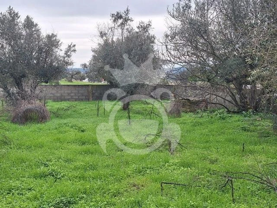 Moradia T3 para Venda em Amieira e Alqueva Foto 8