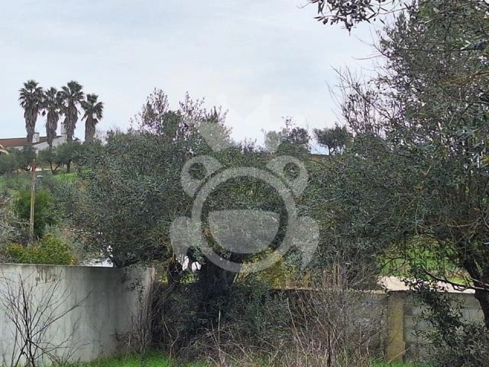 Moradia T3 para Venda em Amieira e Alqueva Foto 10