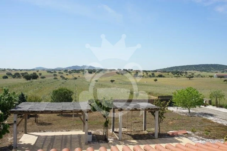 Quinta T3 para Venda em Reguengos de Monsaraz Foto 4