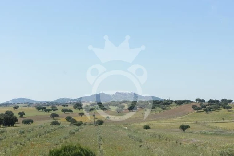 Quinta T3 para Venda em Reguengos de Monsaraz Foto 5