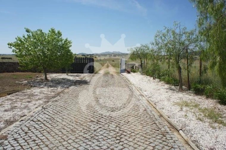 Quinta T3 para Venda em Reguengos de Monsaraz Foto 7