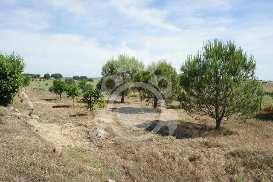 Quinta T3 para Venda em Reguengos de Monsaraz Foto 8